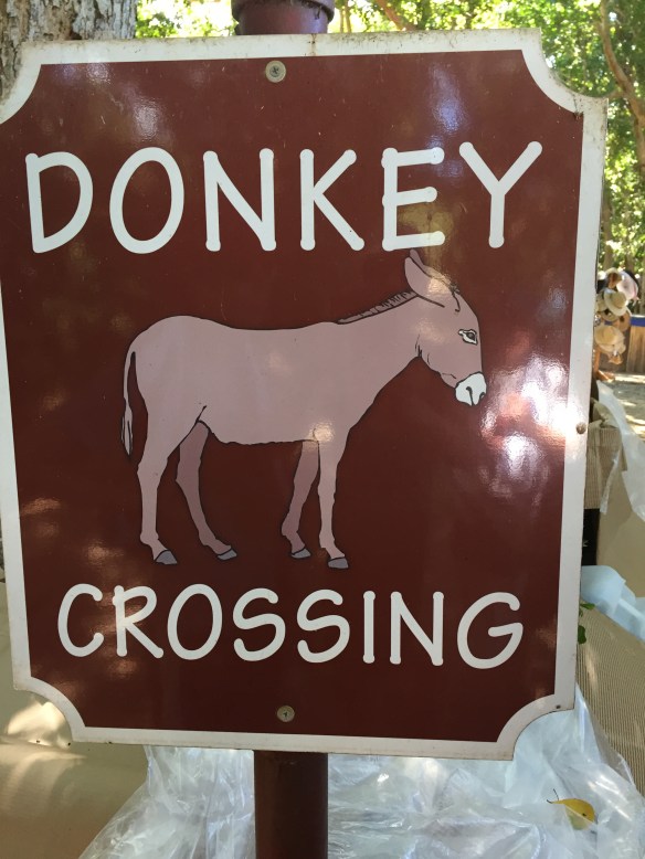 Don't Run Over When You Walk