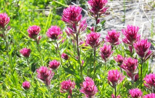 Screen Shot 2015-01-01 at 5.12.58 PM