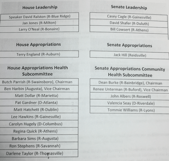 Georgia Politicians with Greatest Impact on Healthcare Decisions