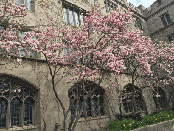 University of Chicago