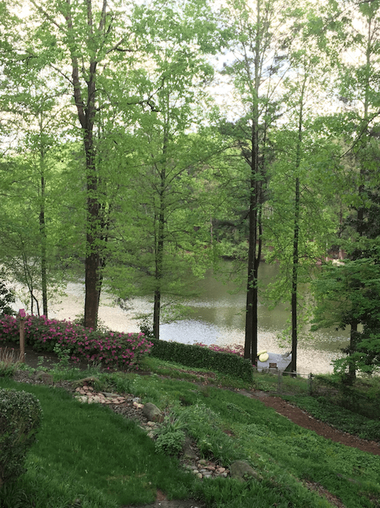 Screen Shot 2015-04-19 at 8.55.40 PM