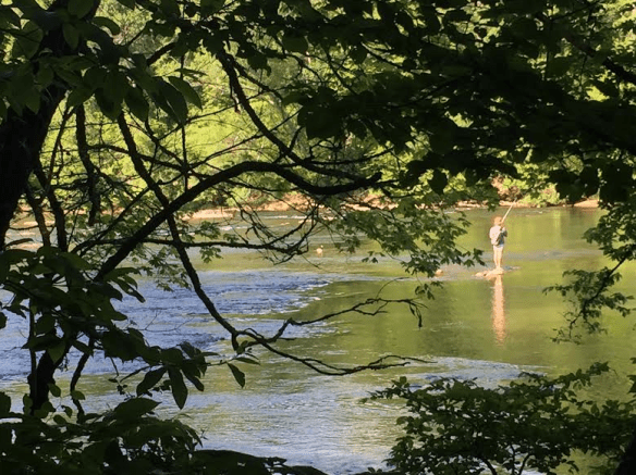 Chattahoochee River National Recreation Area