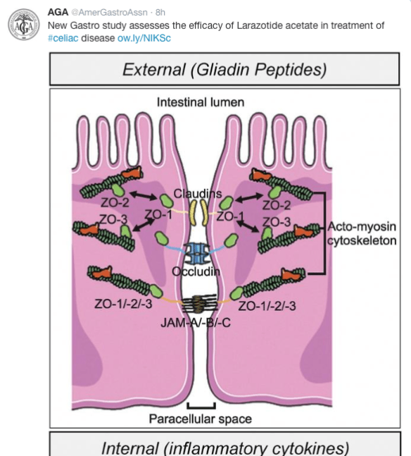 Screen Shot 2015-06-01 at 8.35.51 PM
