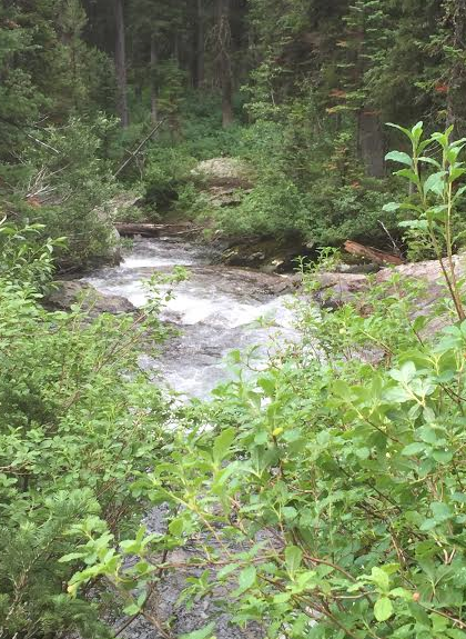 Cascade Canyon, Grand Tetons