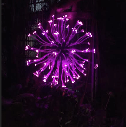 Atlanta Botanical Gardens