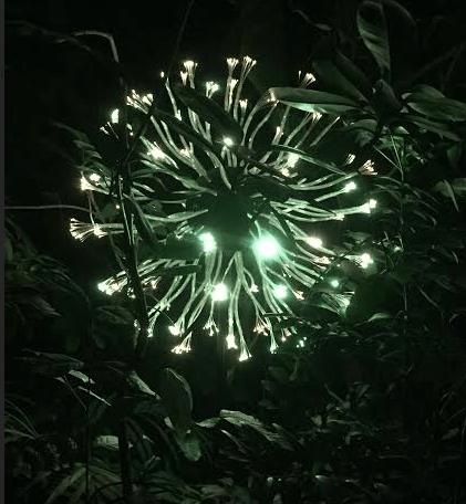 Bruce Munro, Atlanta Botanical Gardens