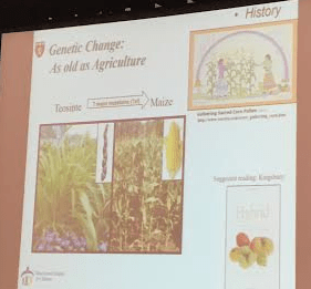 Genetic Change in Crops is as Old as Agriculture