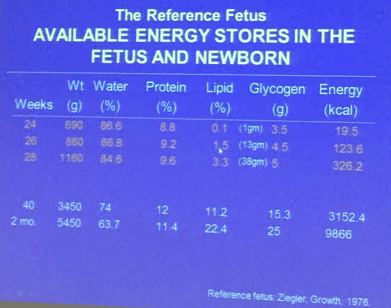 Extreme premature infants have minimal energy reserves