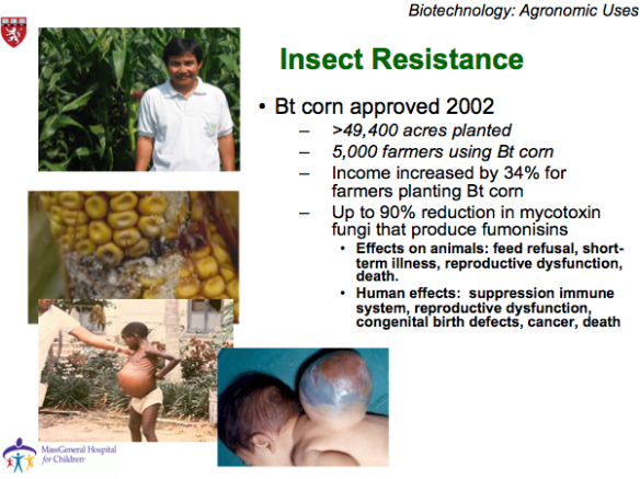 BT Corn (insect resistant) is Safer with Less Liver Cancer and Fewer Birth Defects