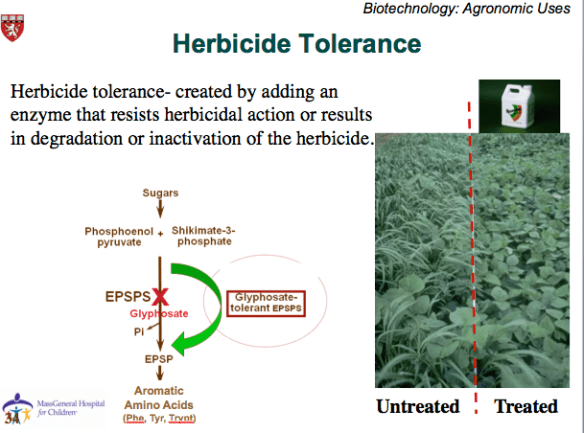 Screen Shot 2015-11-11 at 5.46.45 PM