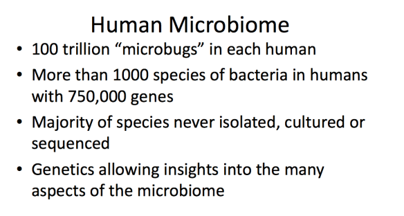 Screen Shot 2015-11-13 at 5.51.40 PM