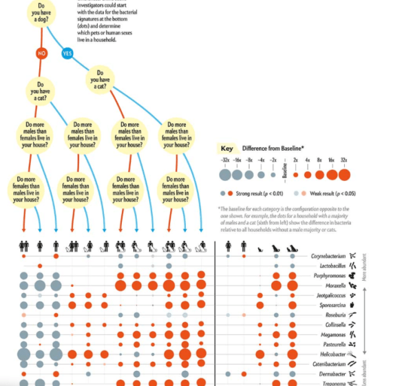 Screen Shot 2015-11-22 at 9.15.14 AM