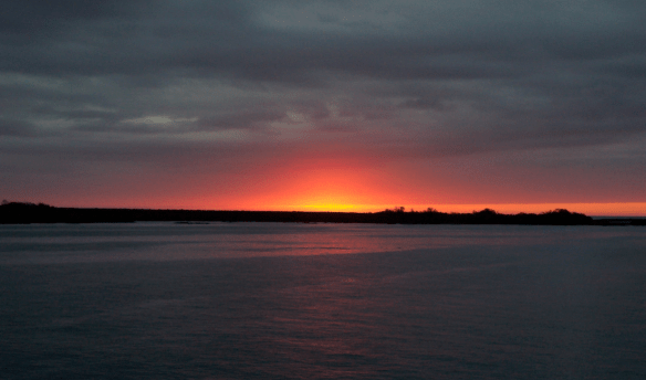 Screen Shot 2015-12-09 at 8.21.20 PM