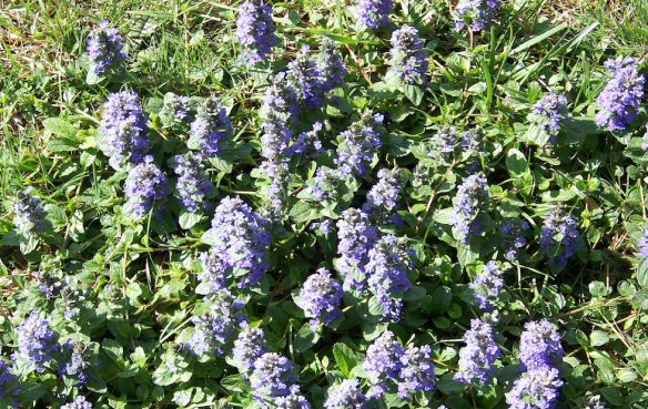 Screen Shot 2015-12-15 at 7.37.51 PM