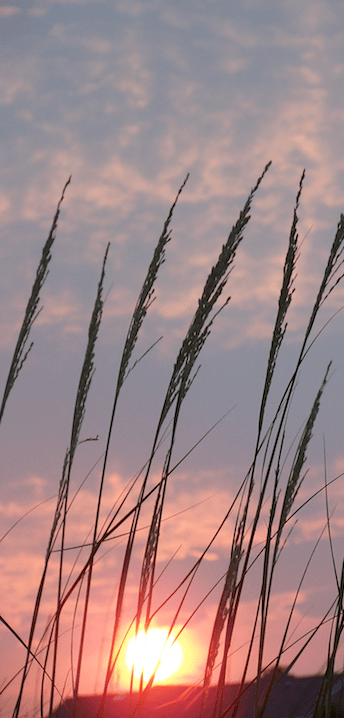 Isle of Palms, SC
