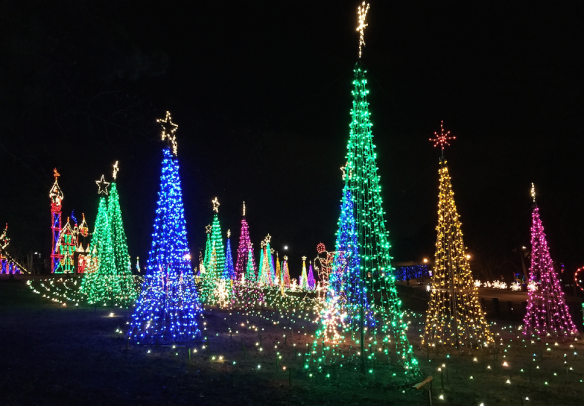 Lights at Life University
