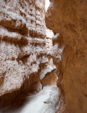 Bryce Canyon