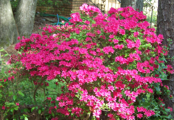 Screen Shot 2016-01-13 at 8.02.25 PM