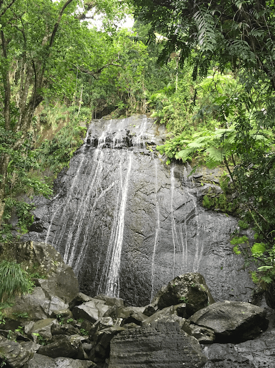 Mina Falls, El Yunque Rainforest