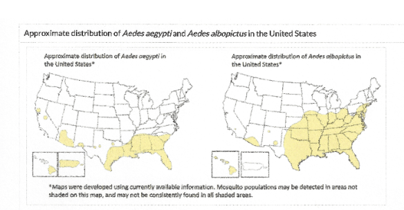 Approximate distribution of mosquito vector