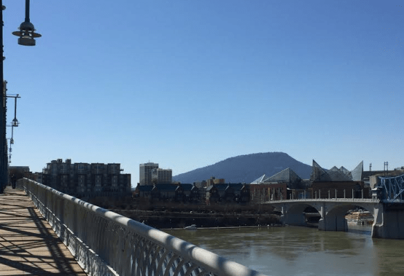 Walnut Street Bridge & Tennessee River