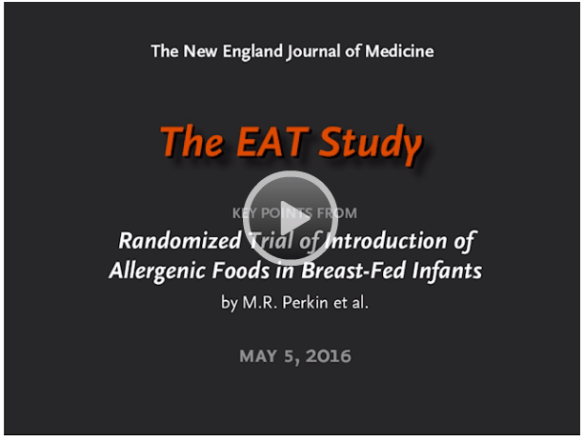 Screen Shot 2016-05-04 at 8.23.59 PM