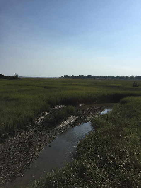 Shem Creek, SC