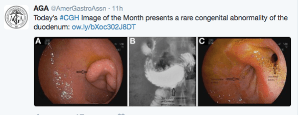 Screen Shot 2016-07-29 at 10.30.28 PM