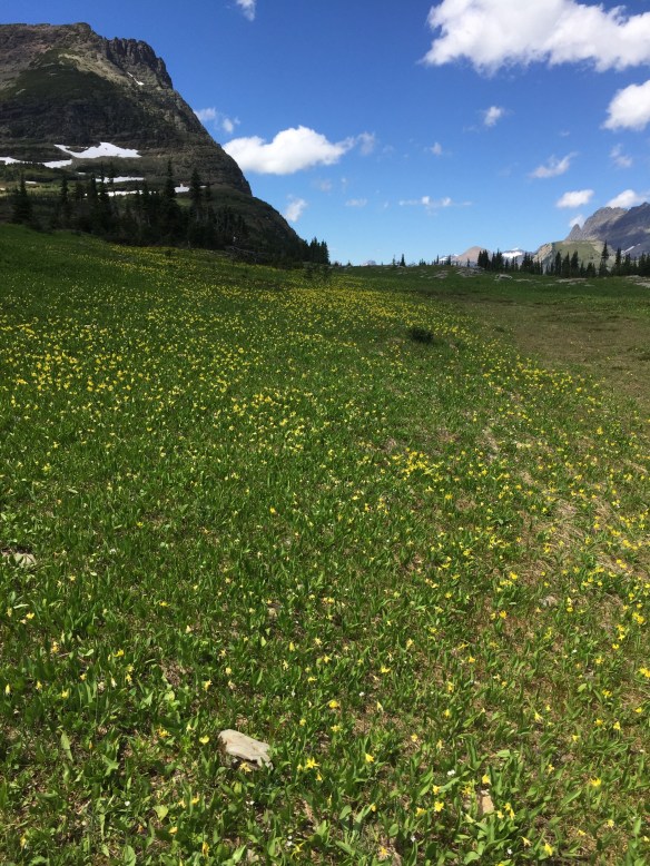 Glacier Nat'l Park