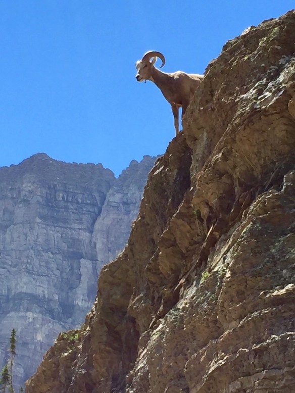 Grinnell Glacier Trail, Glacier Nat'l Park