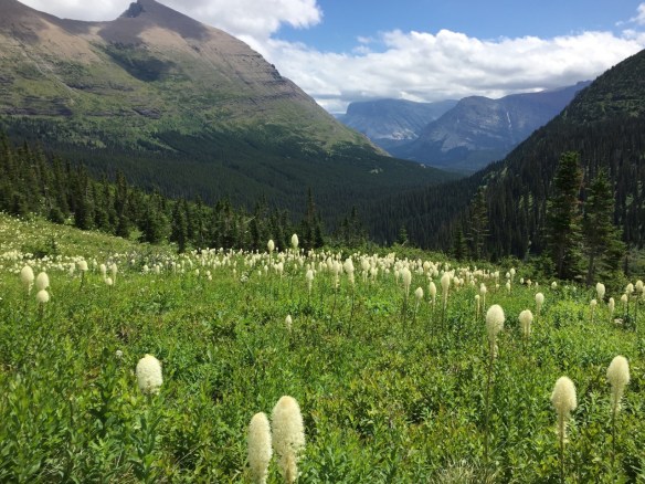 Glacier Natl Park