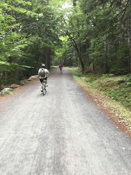 Carriage Road in Acadia National Park