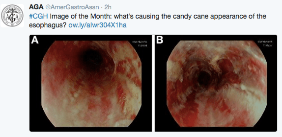 screen-shot-2016-10-07-at-4-36-30-pm