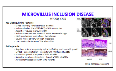 screen-shot-2016-10-14-at-11-36-34-am