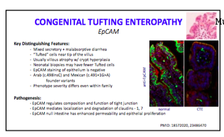 screen-shot-2016-10-14-at-11-36-44-am