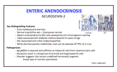 screen-shot-2016-10-14-at-11-37-00-am