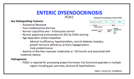 screen-shot-2016-10-14-at-11-37-07-am