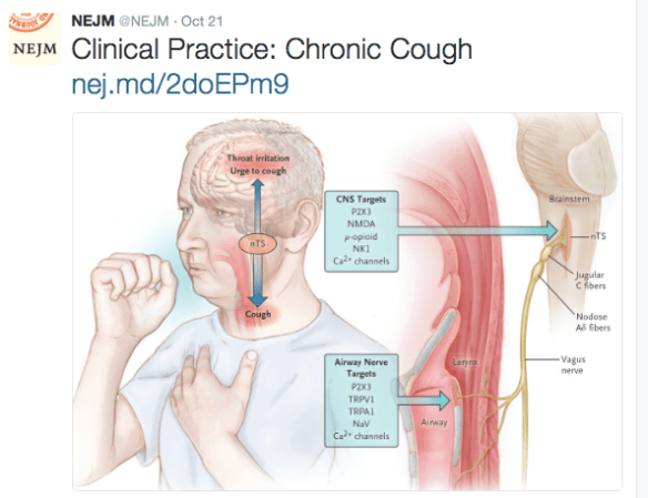 screen-shot-2016-10-22-at-4-01-47-pm