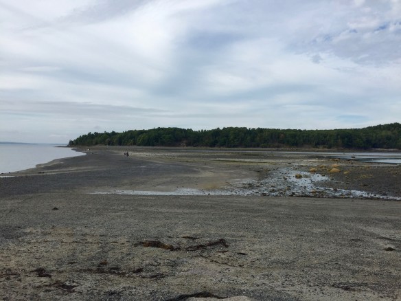 Bar Harbor, ME (low tide)