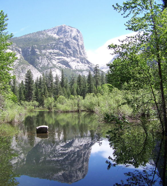 Yosemite Natl Park