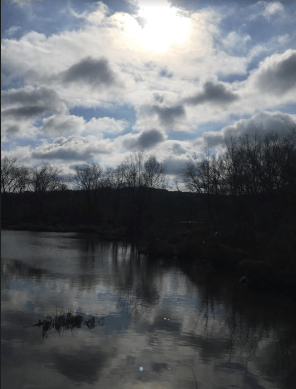 Chattahoochee near Azalea Drive