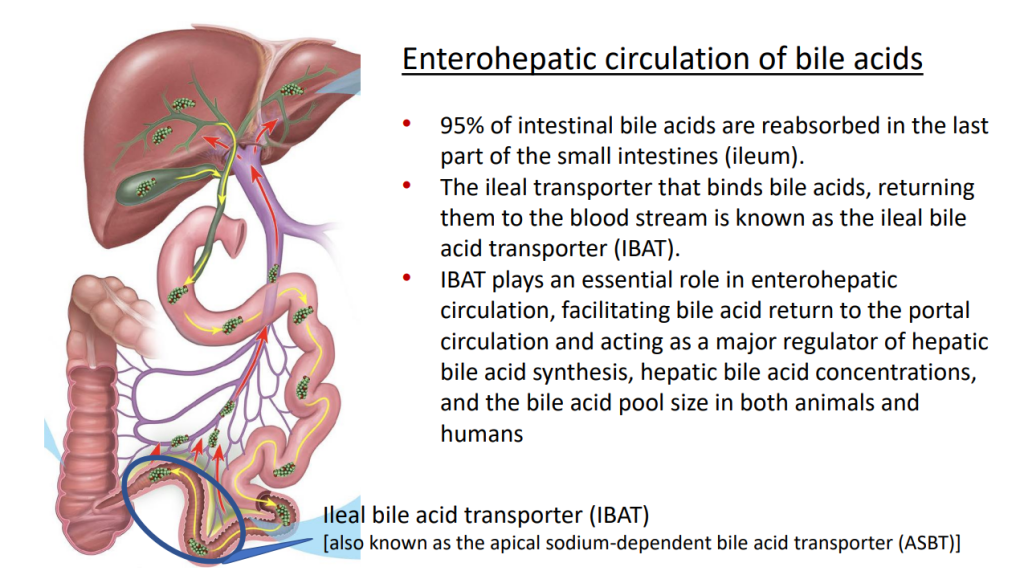 This image has an empty alt attribute; its file name is image-132.png