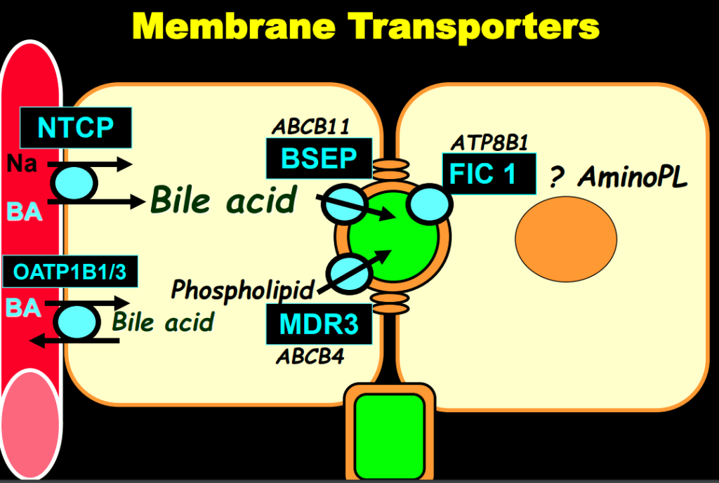 This image has an empty alt attribute; its file name is image-171.png