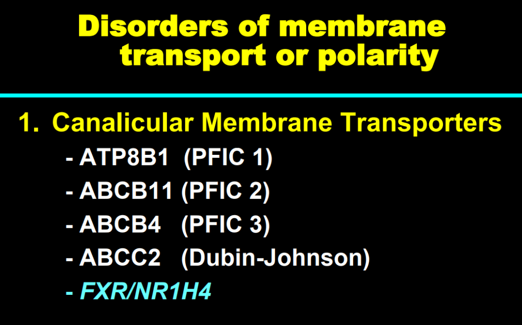 This image has an empty alt attribute; its file name is image-172.png