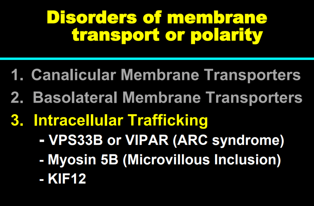 This image has an empty alt attribute; its file name is image-177.png