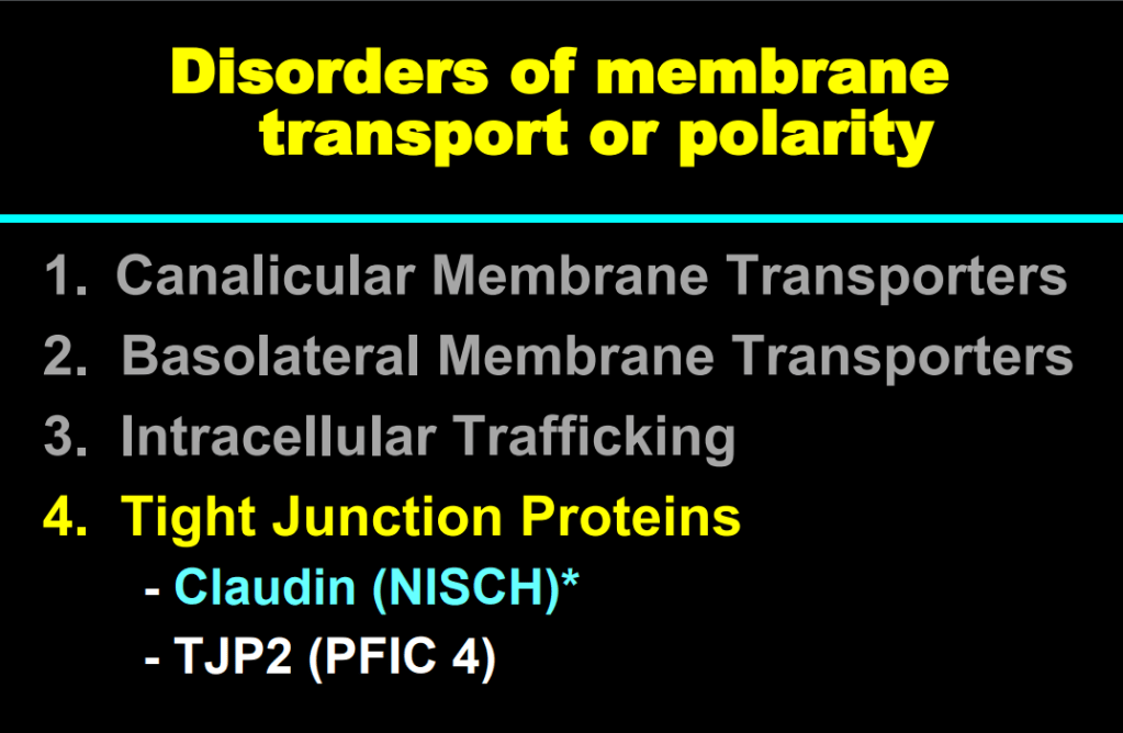 This image has an empty alt attribute; its file name is image-179.png