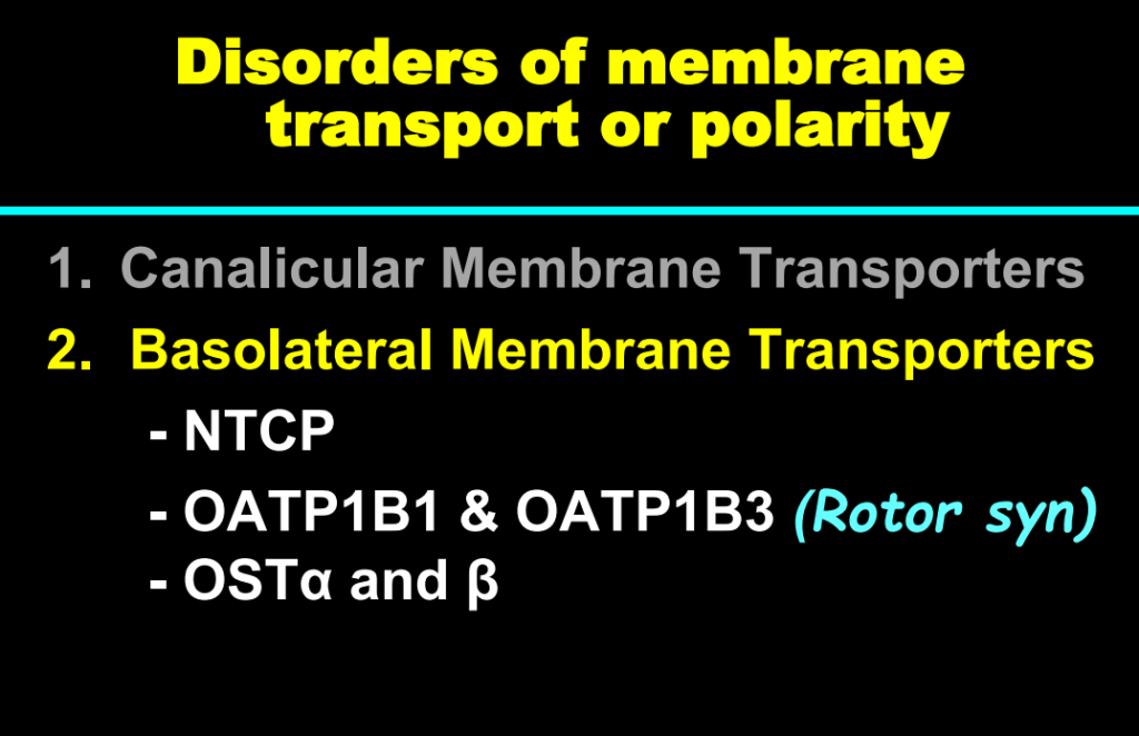 This image has an empty alt attribute; its file name is image-181.png