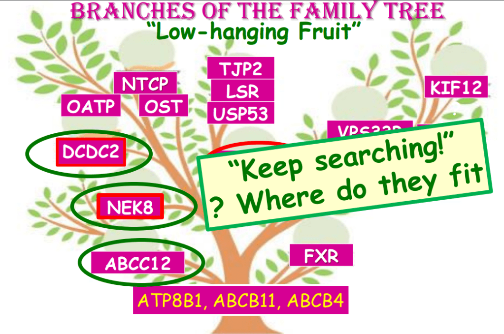 This image has an empty alt attribute; its file name is image-185.png